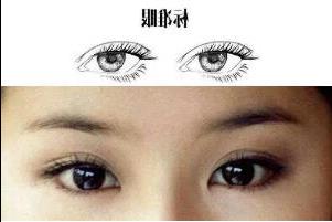 二十种眼形大全图解，柳叶眼最漂亮(但并不常见)